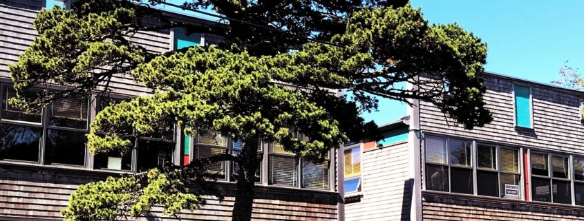 Commercial Property Insurance Aliso Viejo, CA